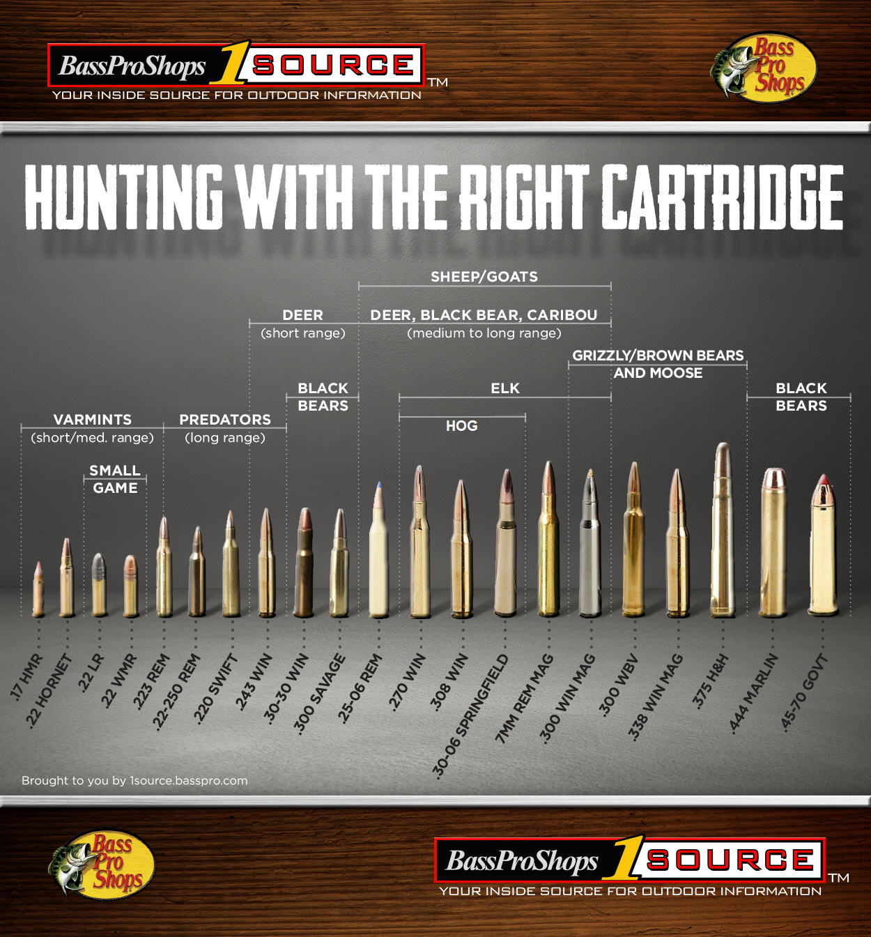 Hunting Rifle Cartridge Chart | My XXX Hot Girl