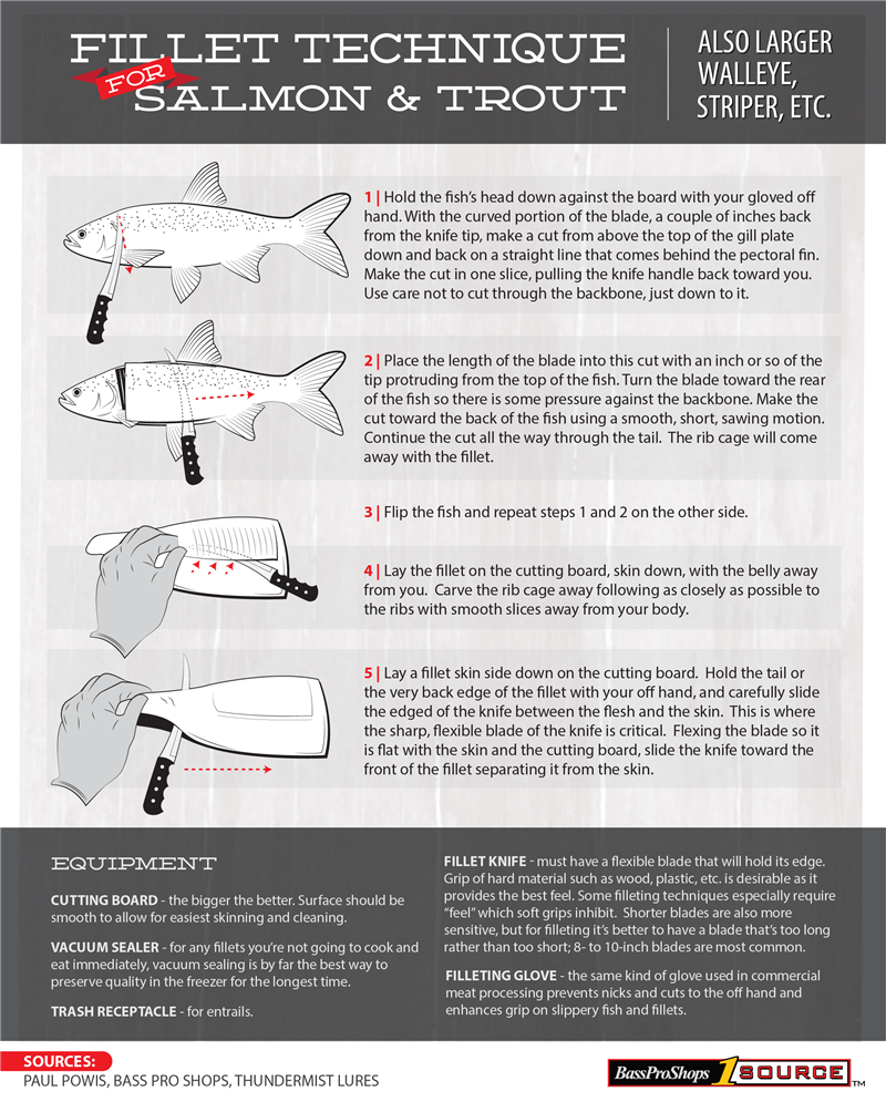 5 Simple Steps to Fillet Salmon, Trout, Walleye, Striped Bass (infographic)