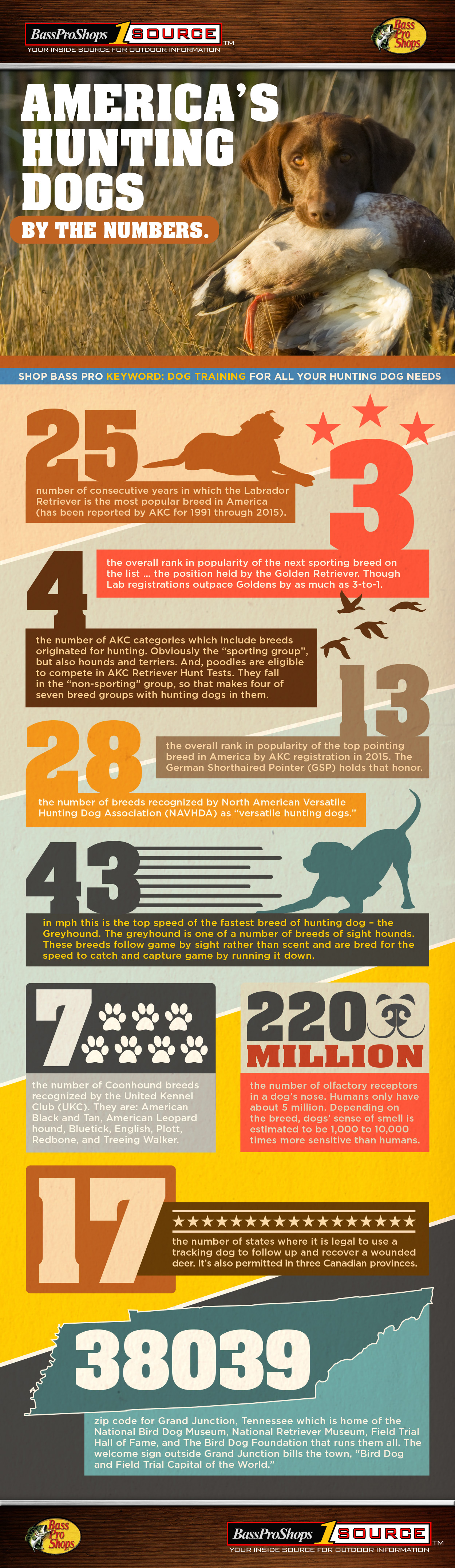 facts about hunting dogs