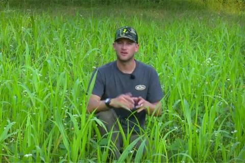 News & Tips: Easy Food Plots and Deer Hunting Strategies (video)...