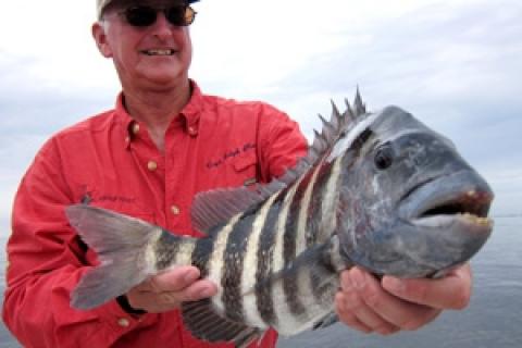 News & Tips: Travel Blog: Charlotte Harbor, Florida...
