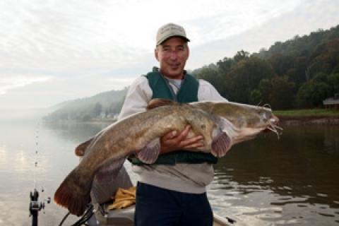 News & Tips: Cattin' Around, Early Winter Style