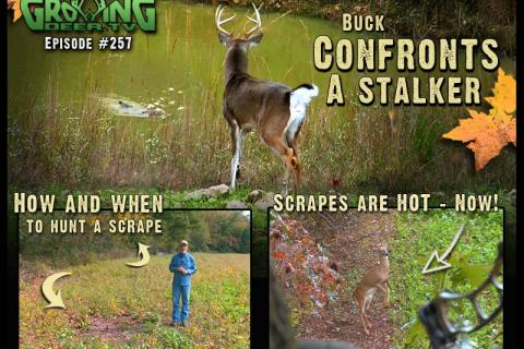 News & Tips: Stalking Bucks and Hunting Scrapes (video)...