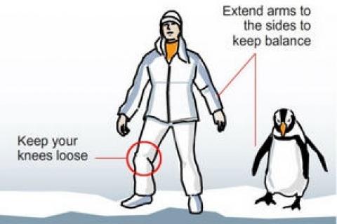 News & Tips: Four Tips for Walking on Snow and Ice