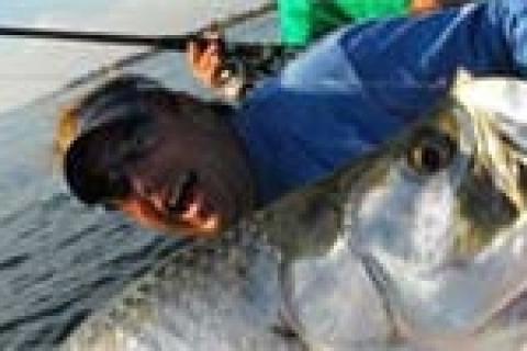 News & Tips: Tarpon Fishing Basics Part 1
