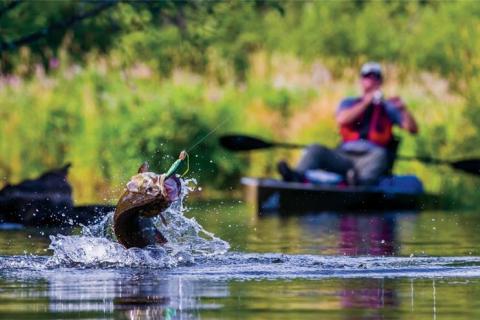 News & Tips: Quiz: Chris Payne’s Everything You Wanted to Know About Kayaks & Fishing...