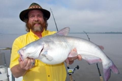 News & Tips: Drift-fishing for Monster Blue Cats