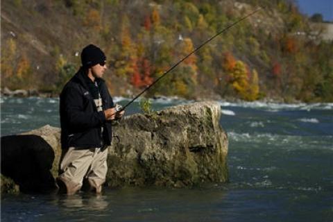 News & Tips: Fall Fishing Tips and Tricks