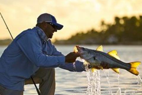 News & Tips: 5 Reasons to Fish Fluorocarbon in Saltwater...