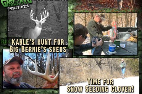 News & Tips: Booner Shed Antlers & Tips For Better Clover Food Plots...