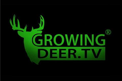 News & Tips: Make a Deer Bow Hunting Hot Spot Plus Bucks are Putting on the Velvet Antlers  (video)...