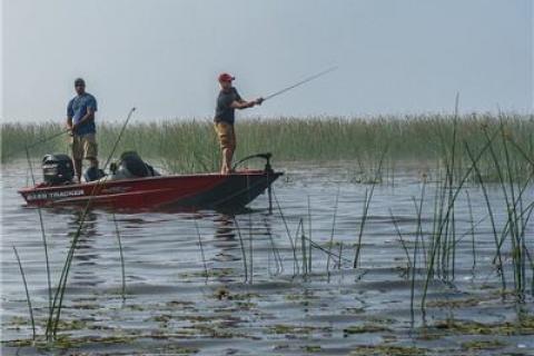News & Tips: Fish Weed Lines for Hungry Game Fish