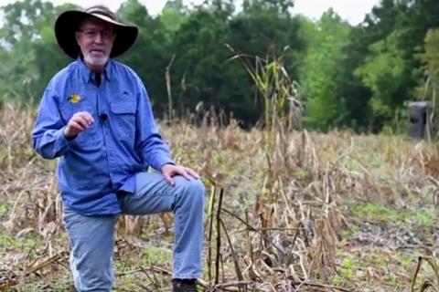 News & Tips: Tips for Easy Fall Food Plots Plus Scouting and Patterning Bucks (video)...