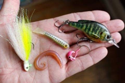 News & Tips: Pressured Fish? No Problem
