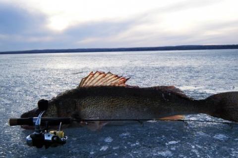 News & Tips: Choosing the Best Ice Fishing Combo