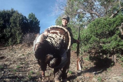 News & Tips: Avoid These 20 Fall Turkey Hunting Mistakes (video)...