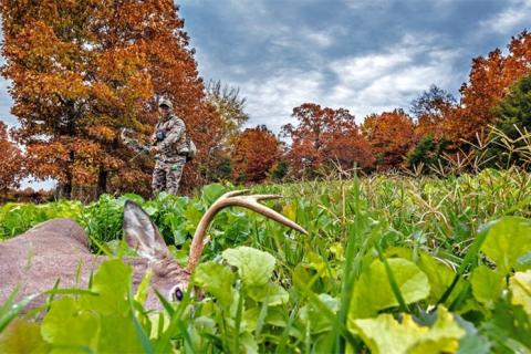 News & Tips: 12 Tips to Recovering Every Deer You Shoot...