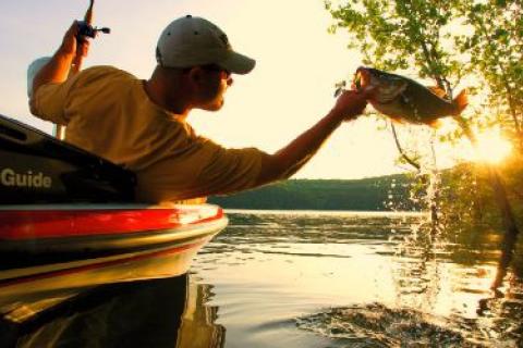 News & Tips: Keep Your Cool: The Angler’s Guide to Beating the Heat...