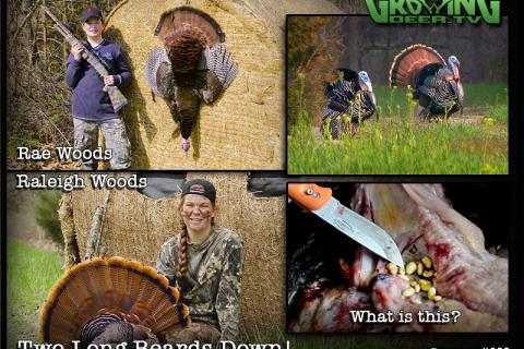 News & Tips: Awesome Weekend Turkey Hunting With The Girls: 2 Gobblers Down!...