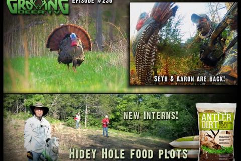 News & Tips: Turkey Hunting Adventures: Tricking a Strutter...