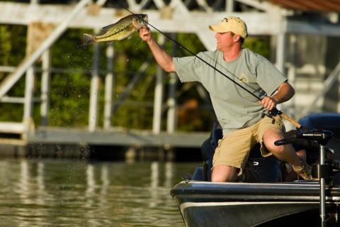 Fish in Missouri