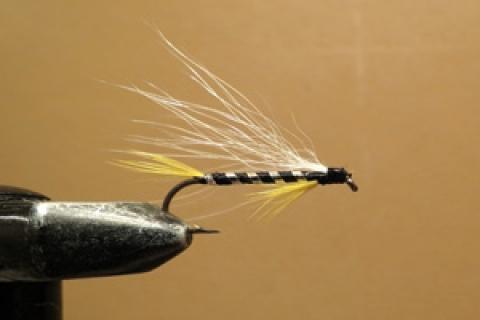 News & Tips: Sparse is the Word