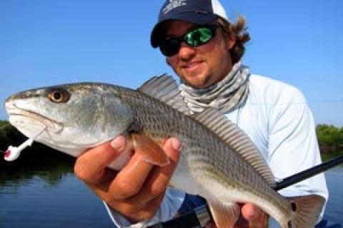 News & Tips: The Ubiquitous Jig Head and Shrimp Rig...