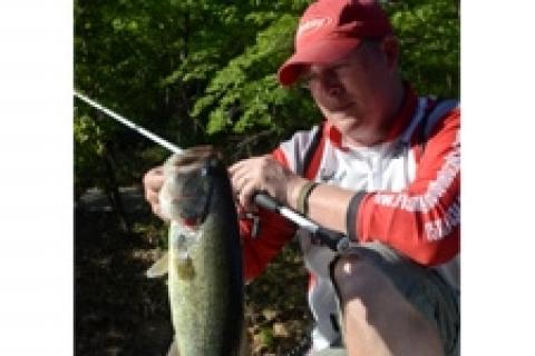 News & Tips: Stick Those Bass