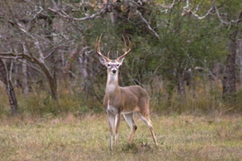 News & Tips: Getting Out of the "Rut"