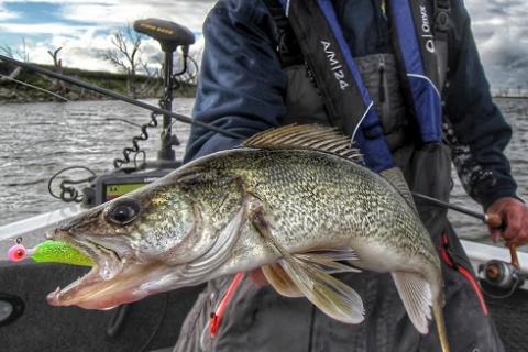 Early Season Walleyes by Early Season Walleyes