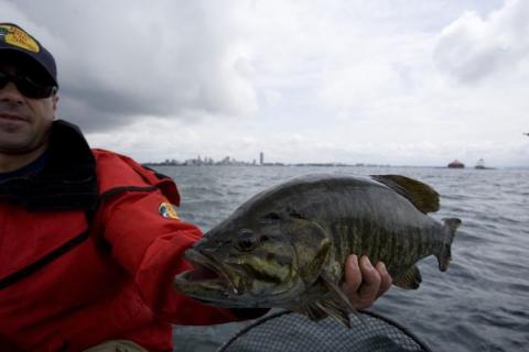 News & Tips: 5 Swimbaiting Tips to Heat Up Coldwater Smallmouth...