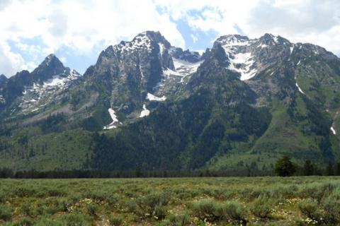 News & Tips: Land Management & Wildlife Law Enforcement on Bass Pro Shops Outdoor World Radio...