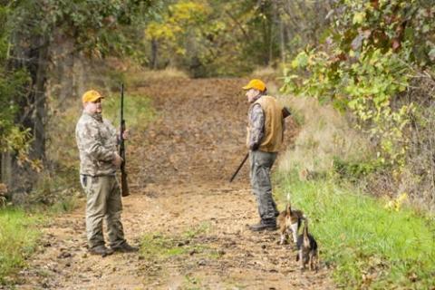 Two rabbit hunters walking a trail