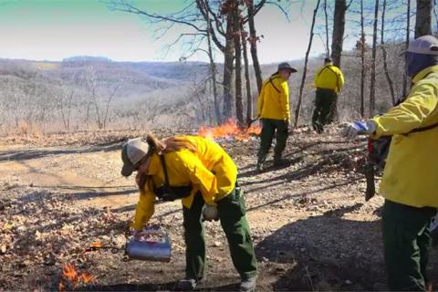 News & Tips: Deer Management: A Late Winter Prescribed Fire for Better Hunting (video)...