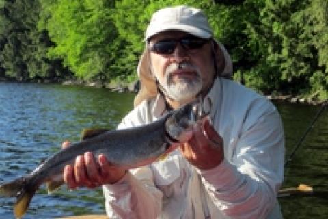 News & Tips: Down in the Water Column