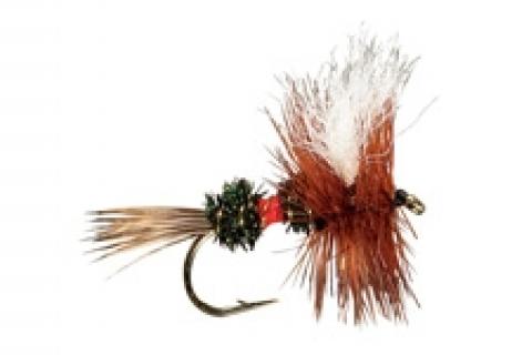 News & Tips: Attractor Flies for Trout