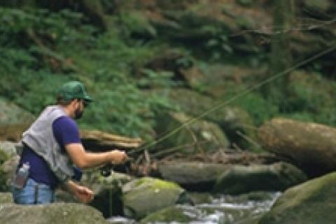 News & Tips: Discover the Joy of Small-Stream Trout...