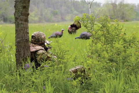 News & Tips: Spring Turkey Hunting 101 Quiz