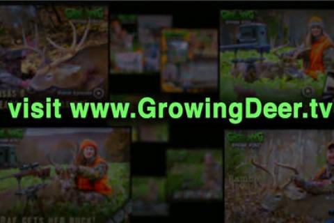 News & Tips: Bow Hunting: No Hesitation, Take The Shot (video)...