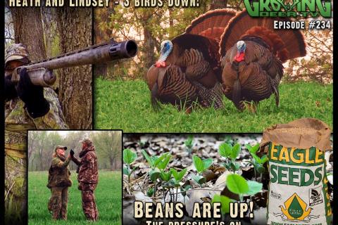 News & Tips: Prime Archery Challenge Plus Turkey Hunting - Tagging A Tom!...