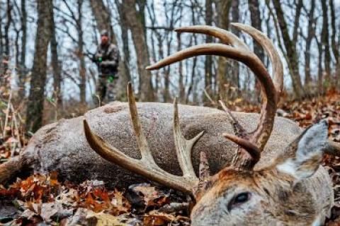 News & Tips: Why Do We Hunt?