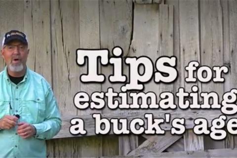 News & Tips: 10 Tips to Quickly Age Bucks Plus Food Plot and Habitat Help (video)...