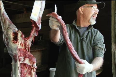 News & Tips: Hunting Whitetails: Be Ready Before The Shot Plus How to Process  Venison...