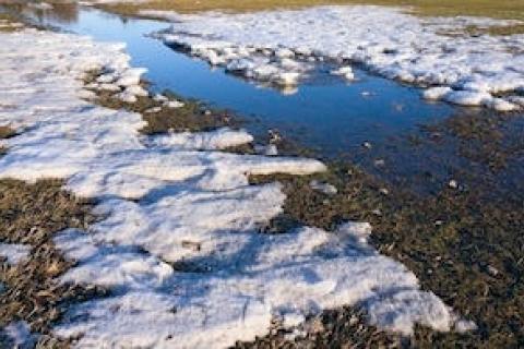 News & Tips: 4 Fishing Facts About Minnesota and Wisconsin’s Late Spring...