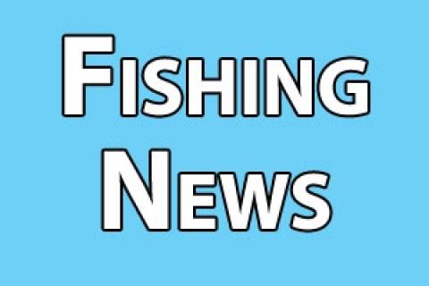 News & Tips: Florida Man Catches Rare Sawshark