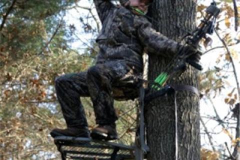 News & Tips: What to Look For in a Climbing Treestand...