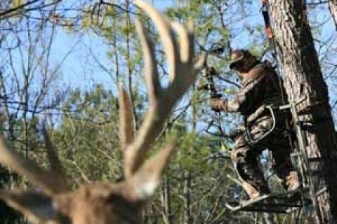 News & Tips: Will You Be Ready for the Kill Shot When Bowhunting?...
