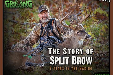 News & Tips: Bow Hunting Big Bucks: The Hunt for the Split Brow Buck...