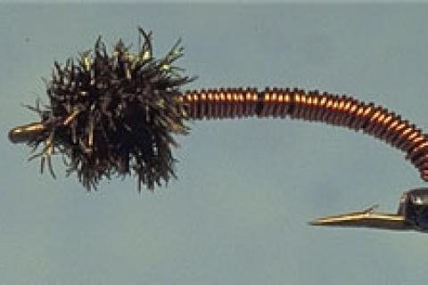 News & Tips: Winter Midge Fishing