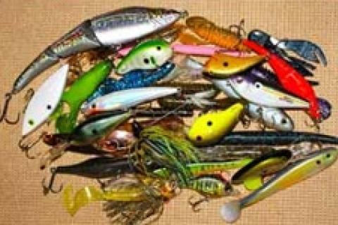 News & Tips: Fishing and the Color Game